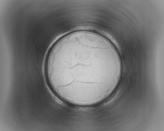 X0000111170803200907291122