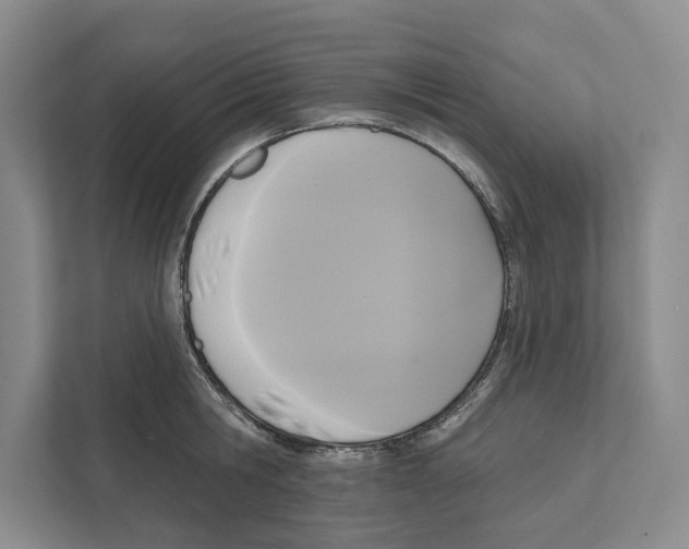 X0000111170806200907291122