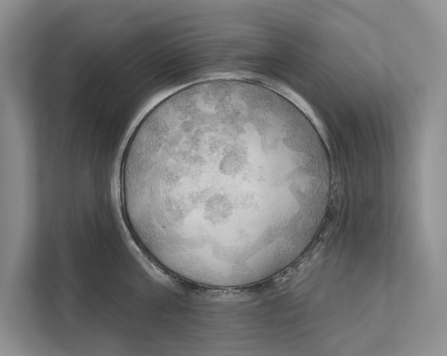 X0000111170811200907291122