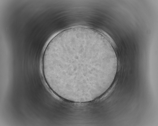 X0000111170812200907291122