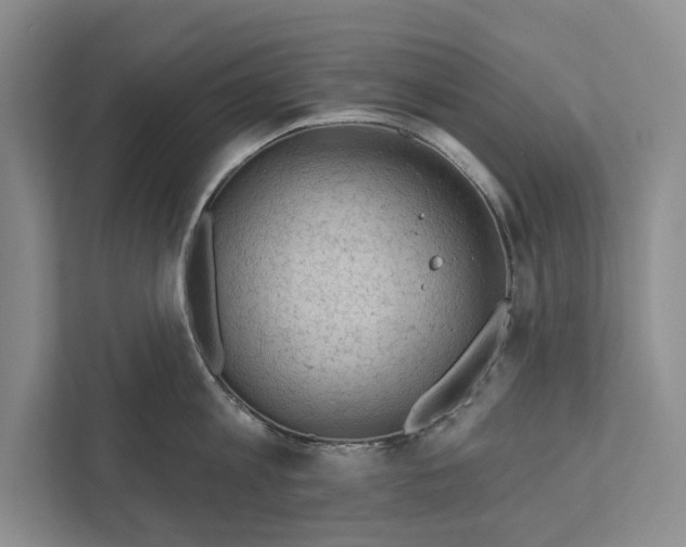 X0000111170813200907291122