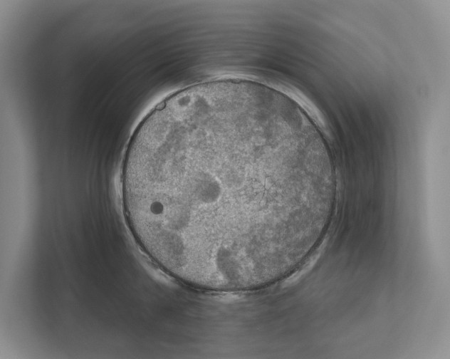 X0000111170814200907291122