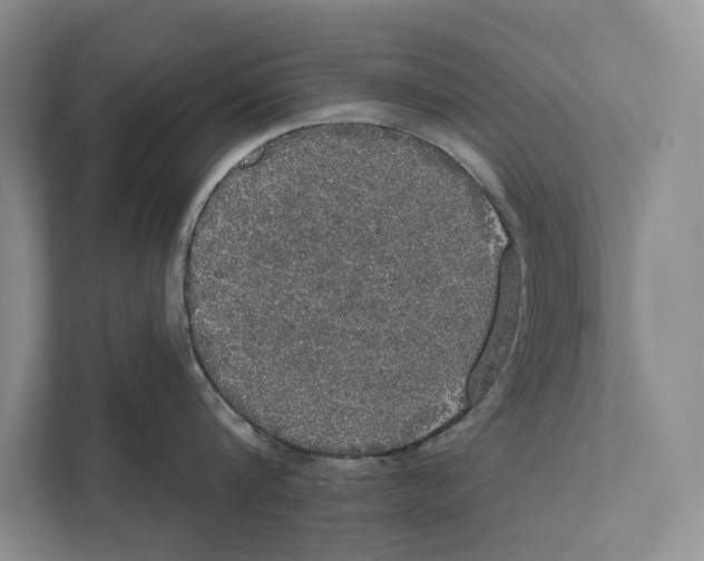 X0000111170816200907291122