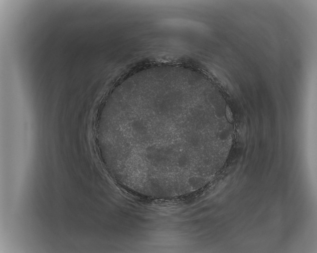 X0000111170817200907291121