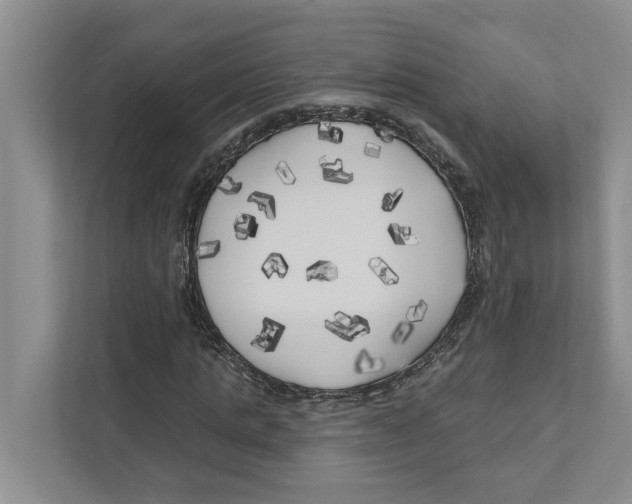 X0000111170821200907291121