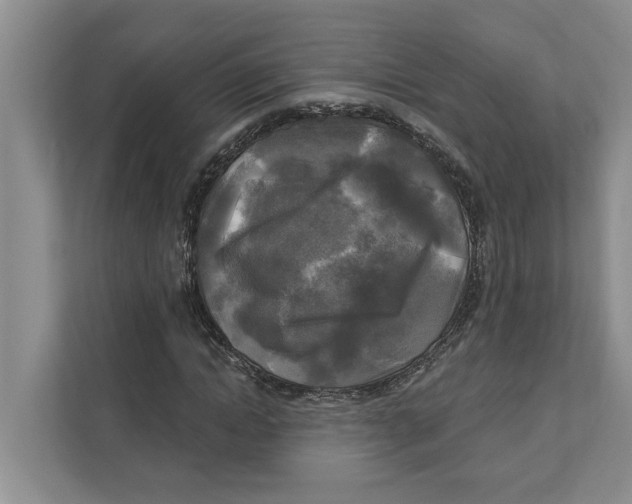 X0000111170822200907291121