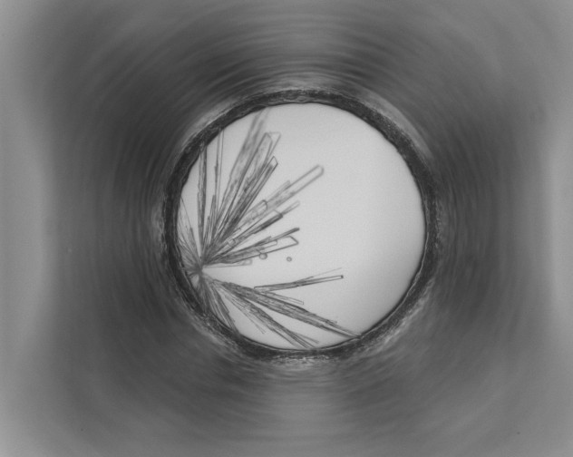 X0000111170826200907291121