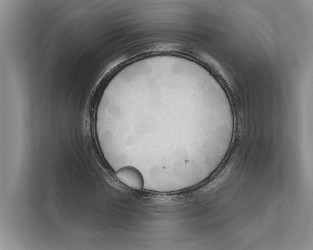 X0000111170827200907291121