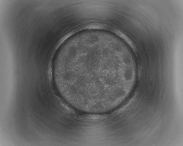 X0000111170829200907291121