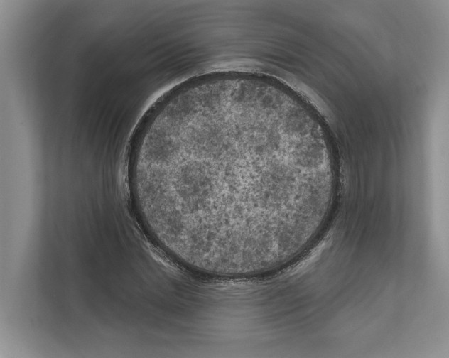 X0000111170830200907291121