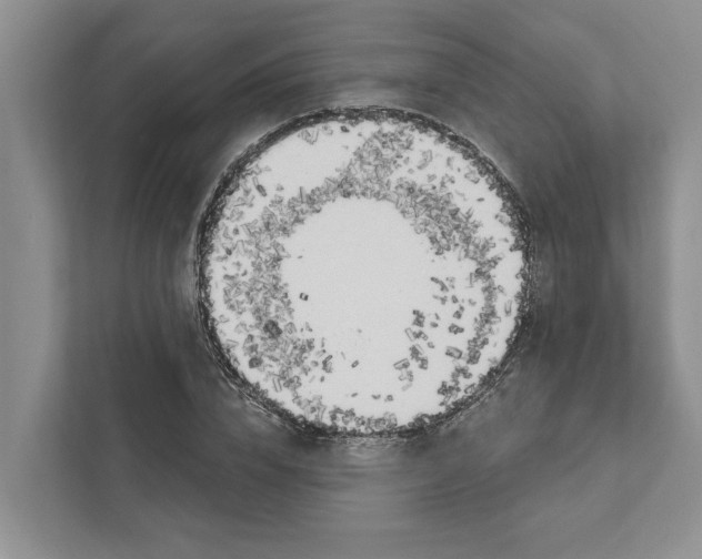 X0000111170832200907291121