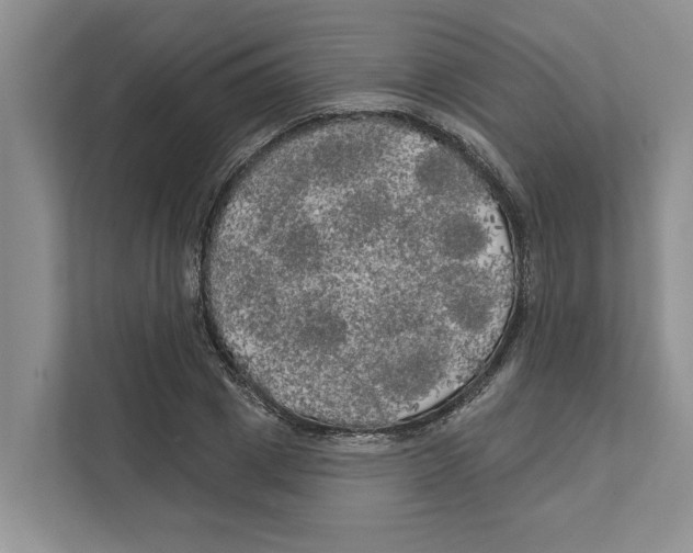 X0000111170833200907291121