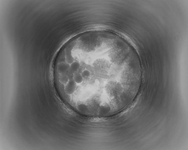 X0000111170835200907291121