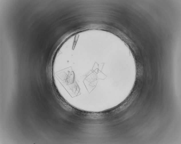 X0000111170836200907291121