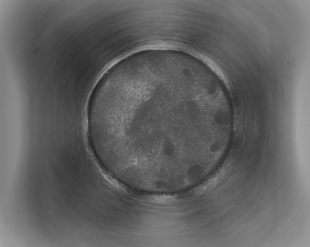 X0000111170837200907291121