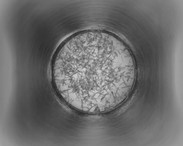 X0000111170838200907291121