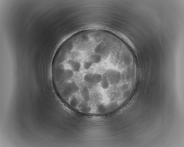 X0000111170839200907291121