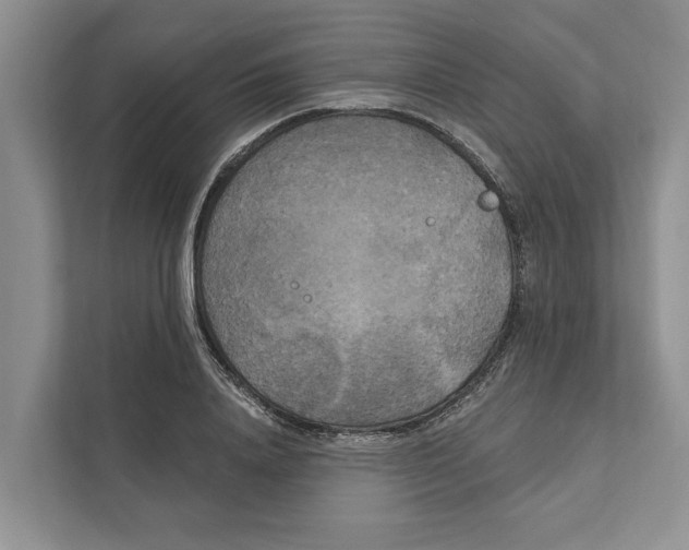 X0000111170840200907291121