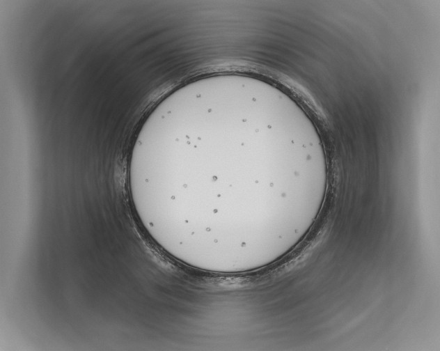 X0000111170841200907291121