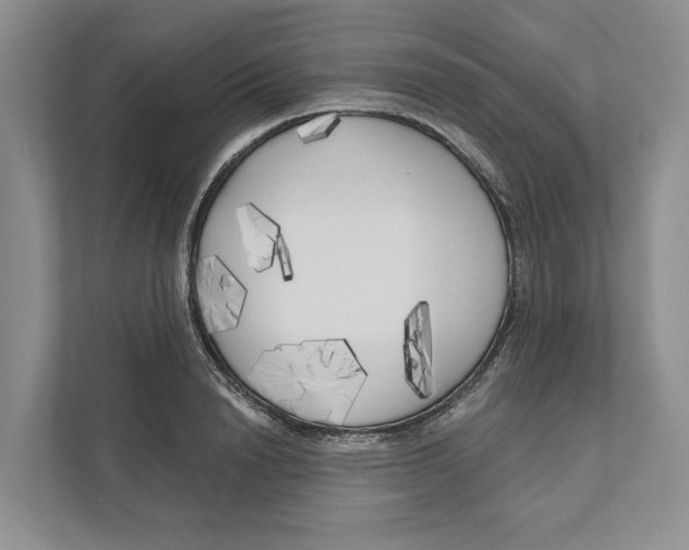 X0000111170846200907291121