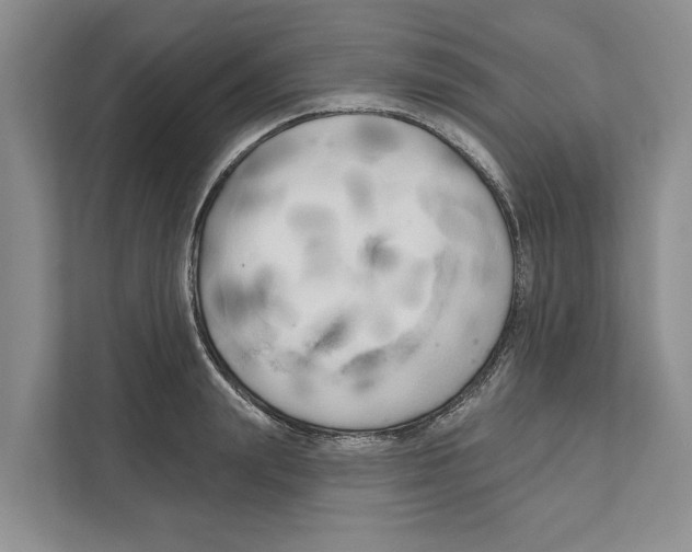 X0000111170847200907291122