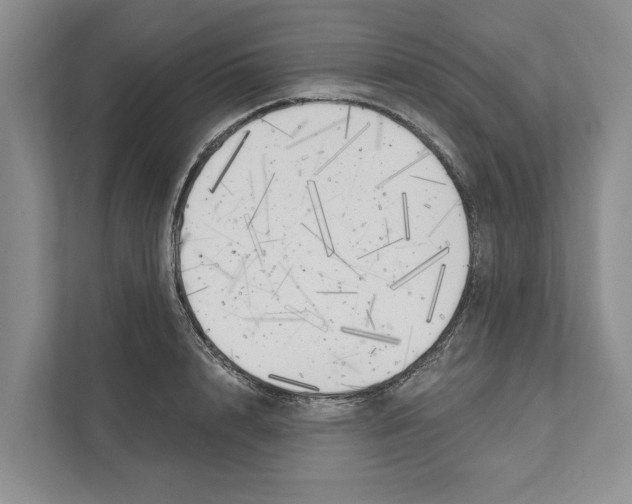 X0000111170848200907291122