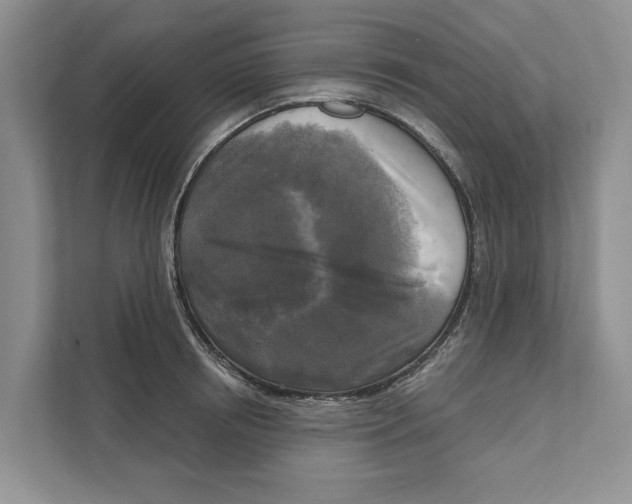 X0000111170850200907291122