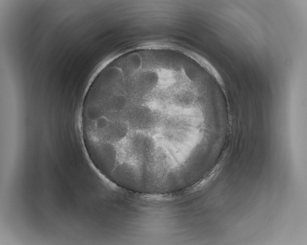 X0000111170855200907291122