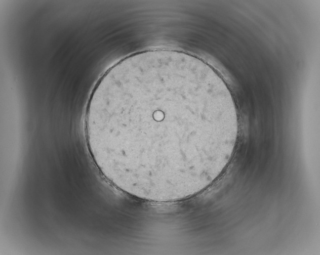 X0000111170856200907291122