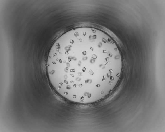 X0000111170857200907291122