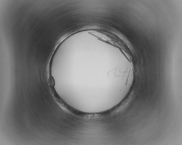 X0000111170858200907291122