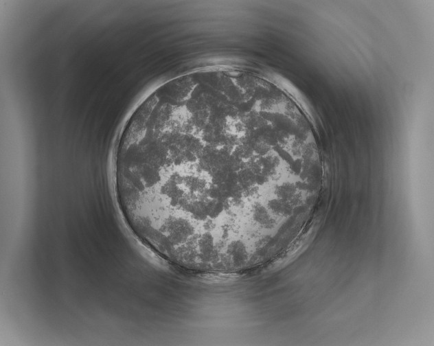 X0000111170859200907291122