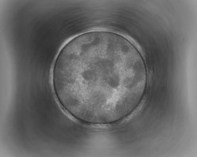 X0000111170862200907291122