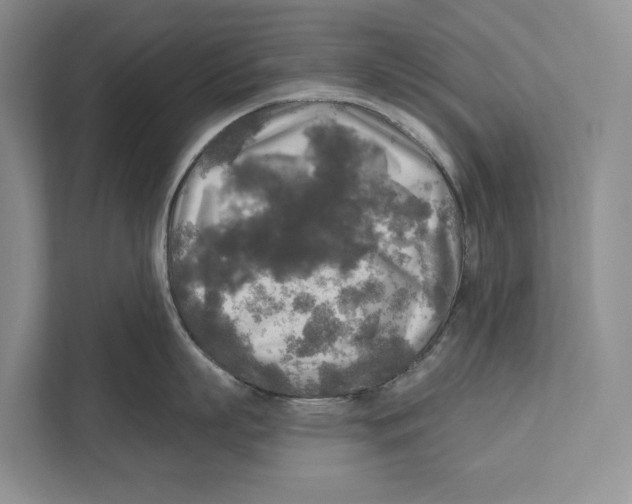 X0000111170863200907291122