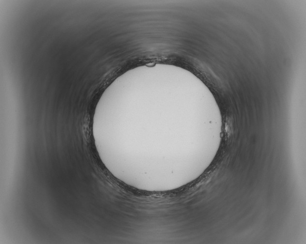 X0000111170867200907291121