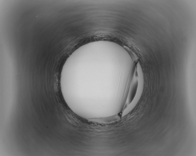 X0000111170868200907291121