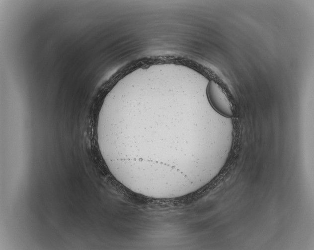 X0000111170871200907291121