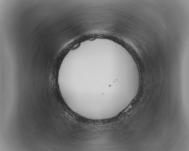 X0000111170872200907291121