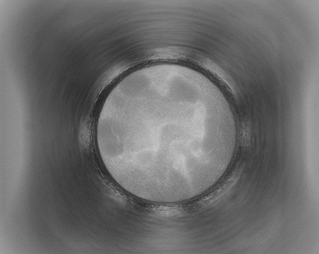 X0000111170874200907291121