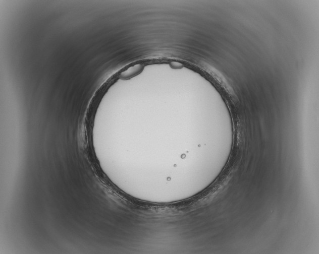 X0000111170876200907291121