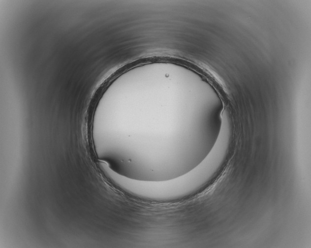 X0000111170877200907291121