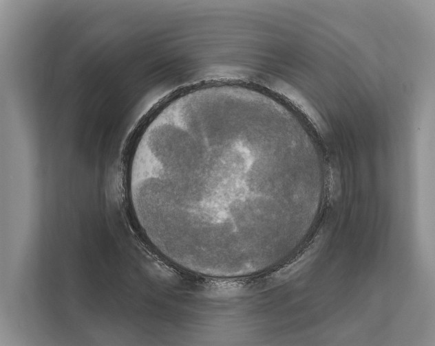 X0000111170878200907291121