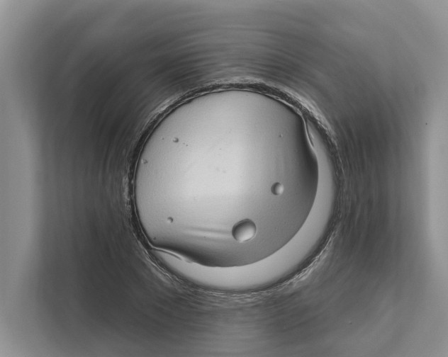 X0000111170881200907291121