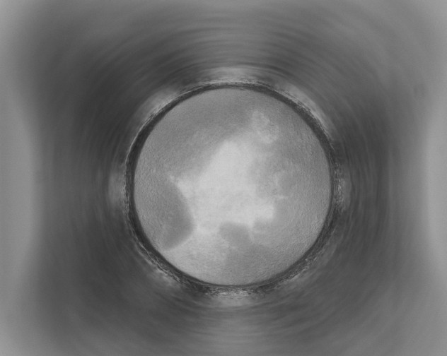 X0000111170882200907291121