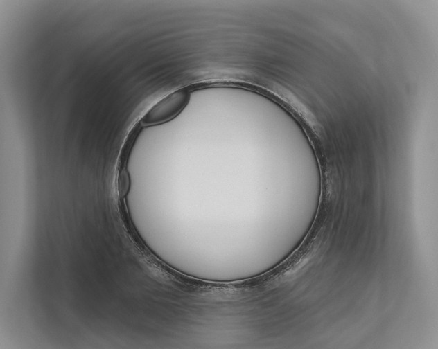 X0000111170885200907291121