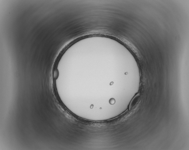 X0000111170888200907291121