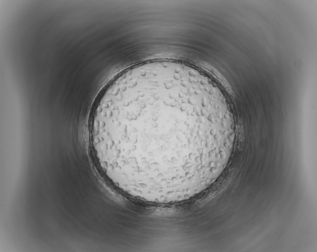 X0000111170890200907291121