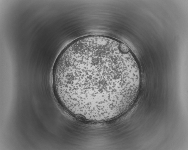 X0000111170891200907291121