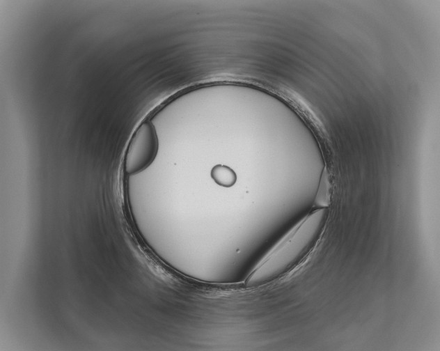 X0000111170892200907291121