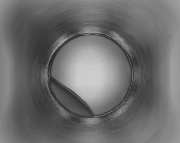 X0000111170893200907291121